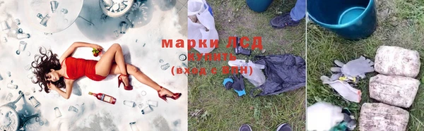 гидра Армянск